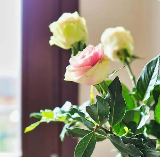 Casa Pep Bellagio Di